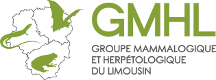 GMHL